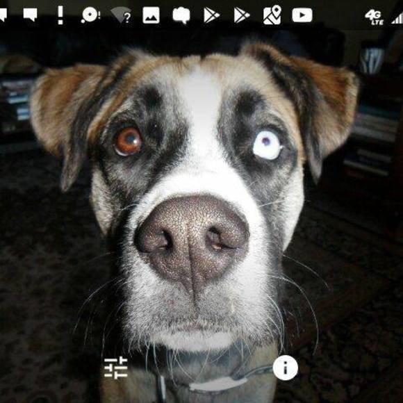 Meet your Posher, Michele' - Picture 1 of 1